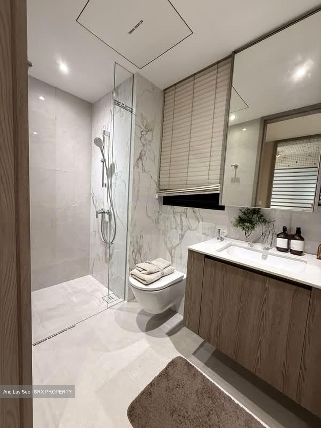 Jalan Jurong Kechil (D21), Condominium #560351881